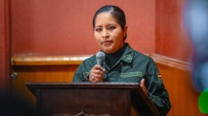 Leslie Karen Cuéllar Fernández