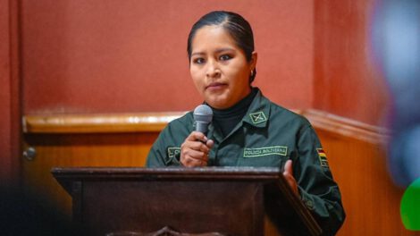 Leslie Karen Cuéllar Fernández