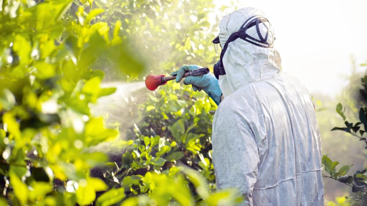 insecticidas