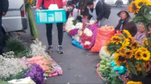 Los claveles, que antes se comercializaban en 50 bolivianos, ahora se venden entre 20 y 25 bs.