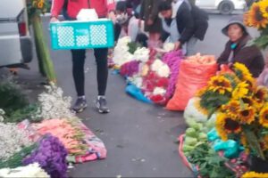 Los claveles, que antes se comercializaban en 50 bolivianos, ahora se venden entre 20 y 25 bs.