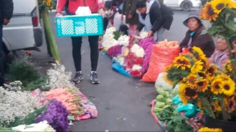 Los claveles, que antes se comercializaban en 50 bolivianos, ahora se venden entre 20 y 25 bs.
