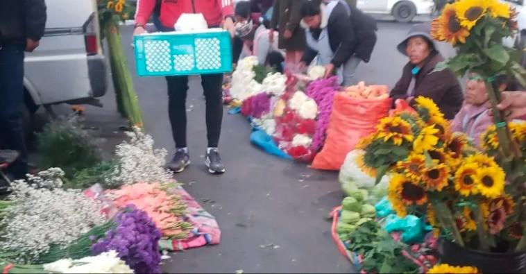 Los claveles, que antes se comercializaban en 50 bolivianos, ahora se venden entre 20 y 25 bs.