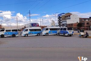 Minibuses