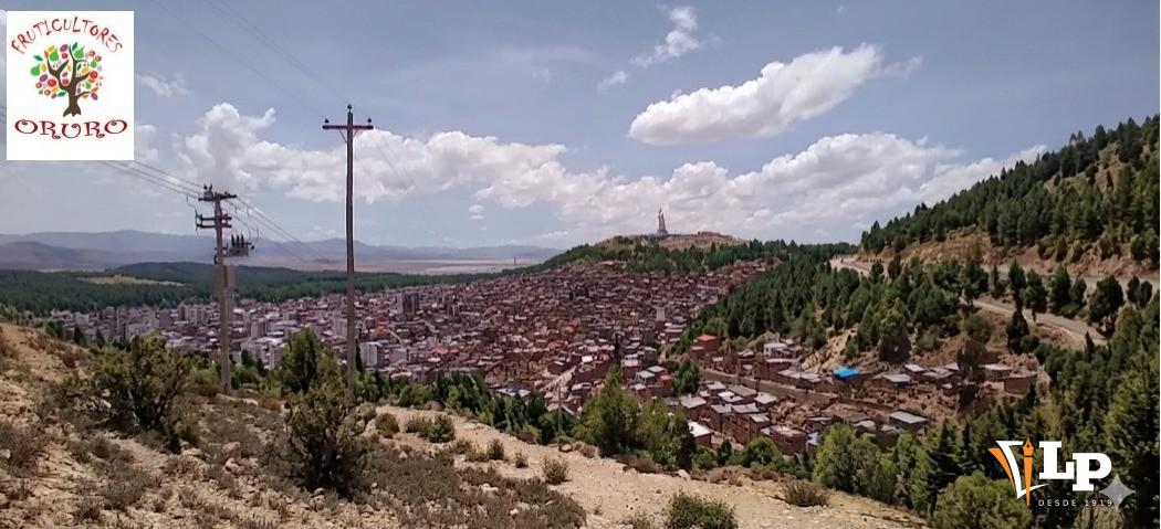 Bosquecillo Titán IA