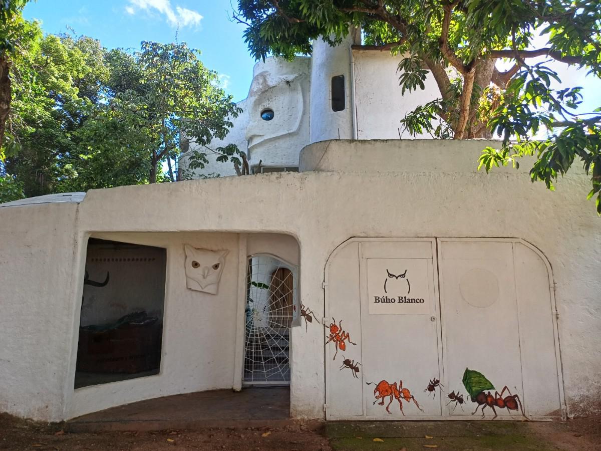 foto escultura