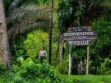 madidi