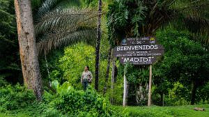 madidi