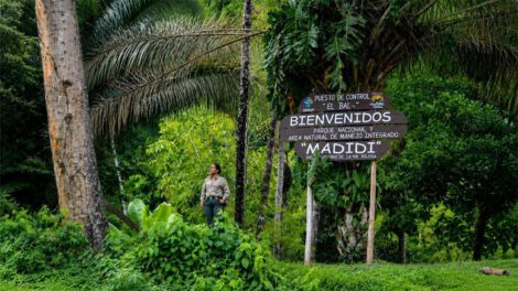 madidi