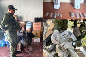 Se encontraron 9 paquetes con una sustancia verduzca ocultos en aires acondicionados