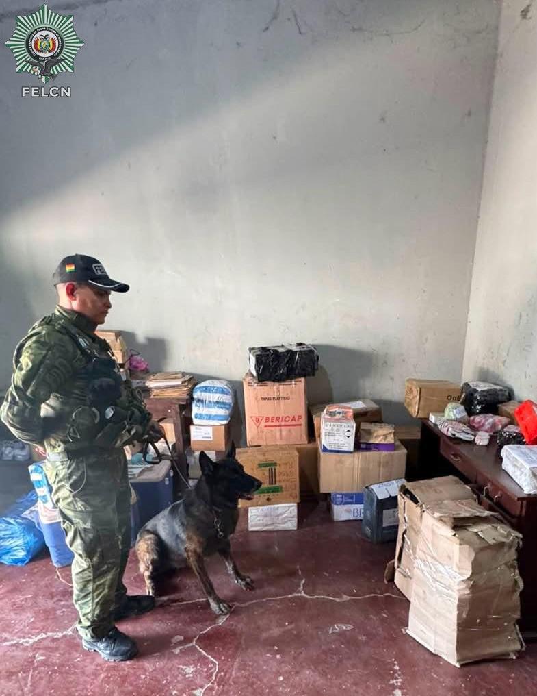 El hallazgo fue posible gracias al trabajo del can antidroga “Taurus”,