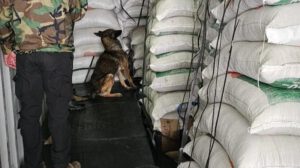 Imagen del operativo