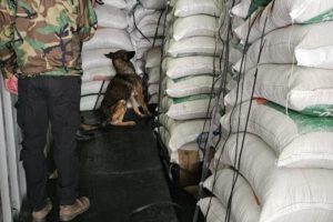 Imagen del operativo
