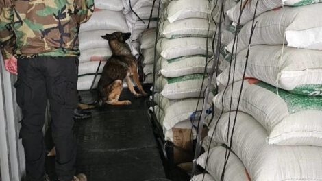 Imagen del operativo