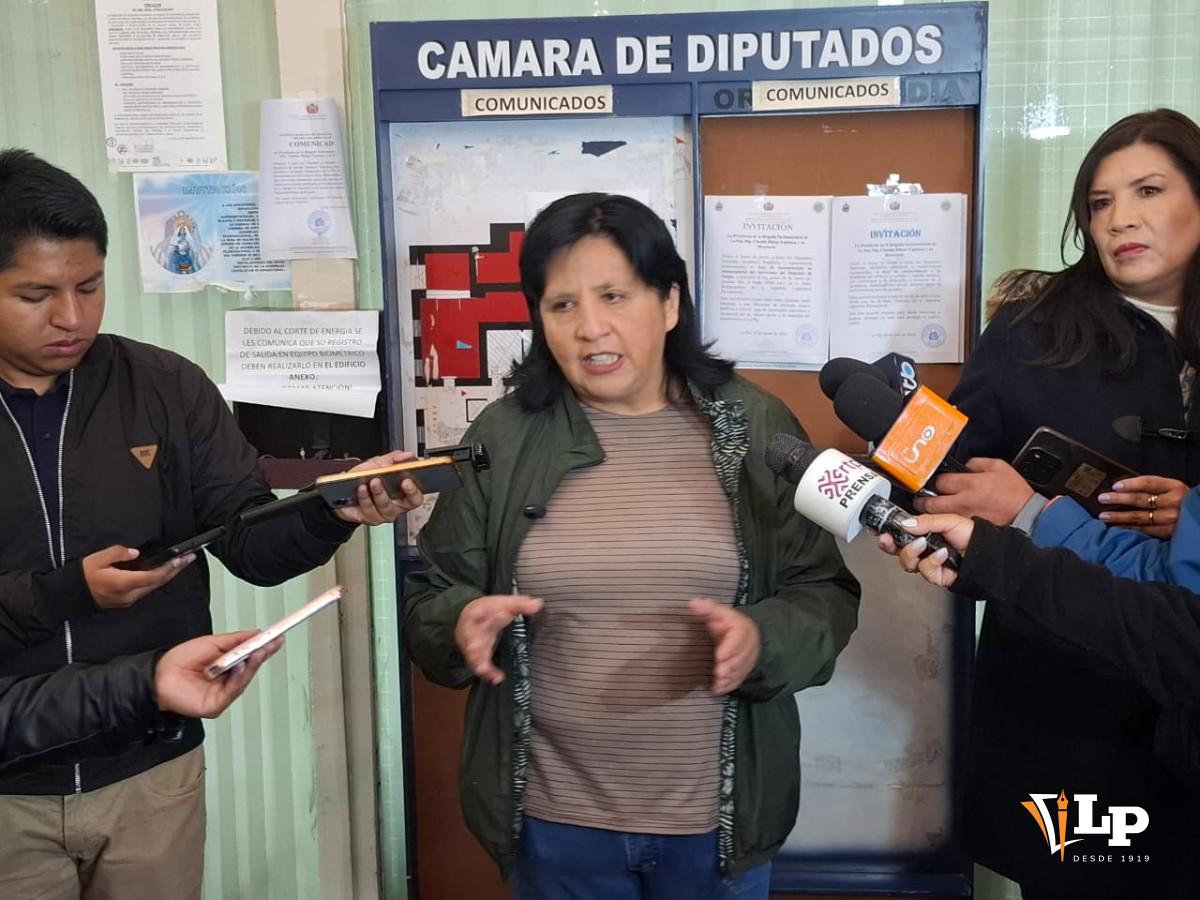 La diputada Bilbao en conferencia de prensa