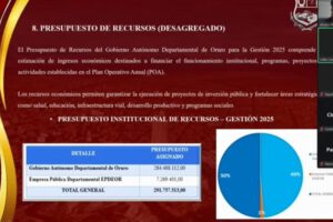 Universitarios de Contaduría Pública durante la defensa virtual de su proyecto de presupuestos