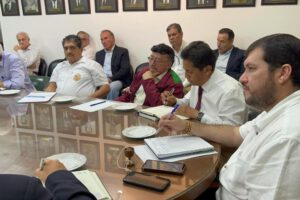Representantes del Movimiento Cívico Nacional