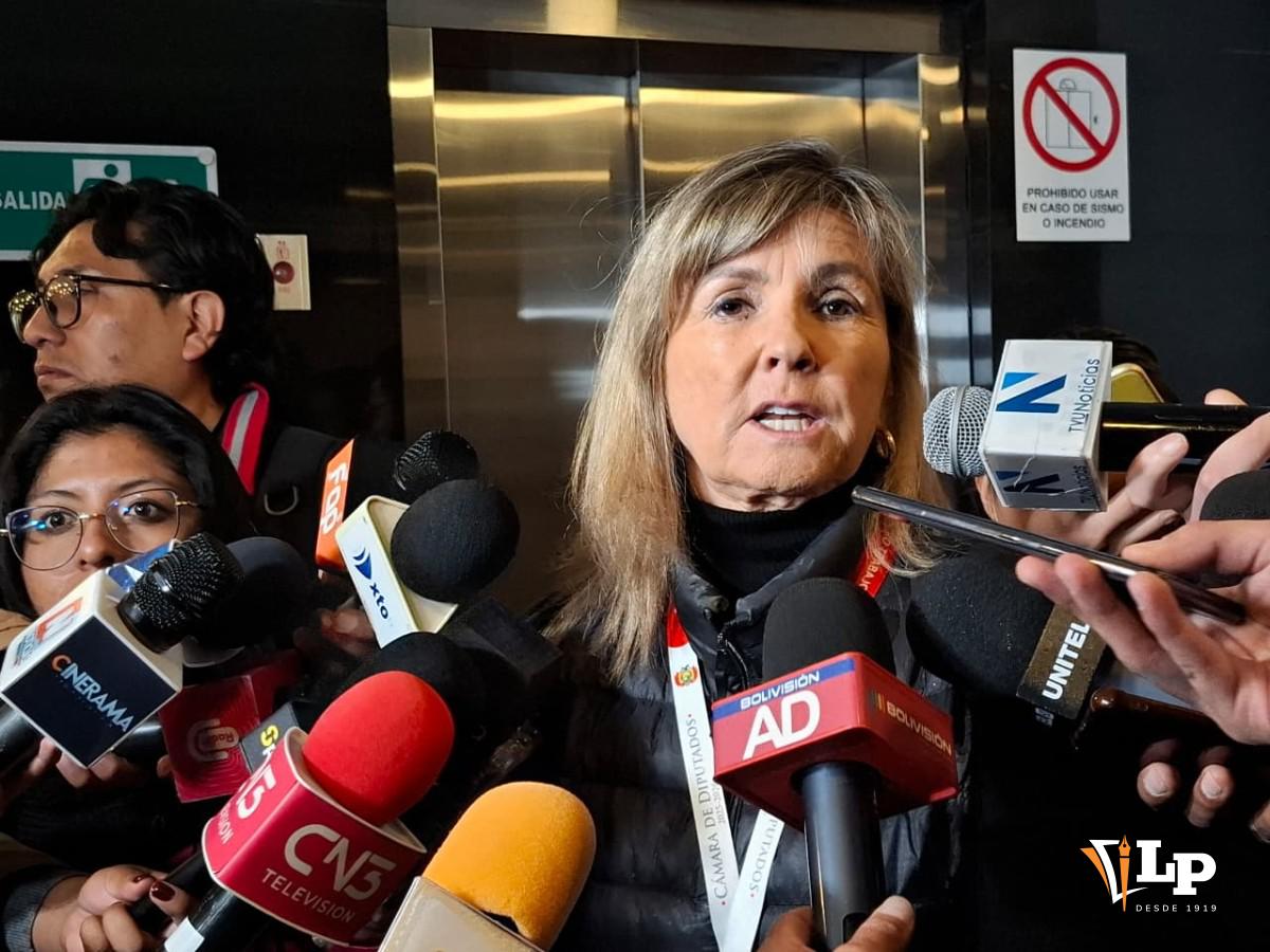 La diputada Quiroga en conferencia de prensa