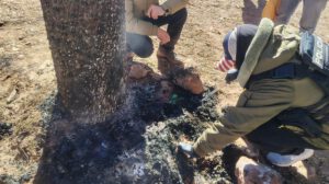 Fiscalía investiga la muerte de tres jóvenes quemados tras ser sacados de una celda