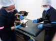 Esterilización