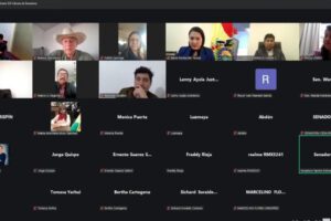 La sesión de la Cámara de Senadores se realizó de manera virtual
