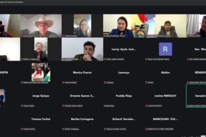 La sesión de la Cámara de Senadores se realizó de manera virtual