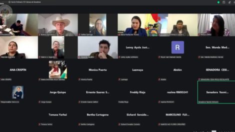 La sesión de la Cámara de Senadores se realizó de manera virtual