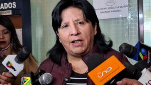 La diputada Bilbao en conferencia de prensa