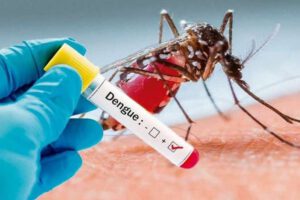 Dengue en Chuquisaca, primer caso importado confirmado