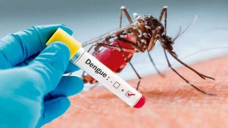 Dengue en Chuquisaca, primer caso importado confirmado