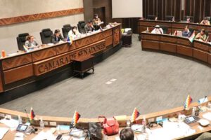 Ley de Registro de Comercio sancionada por el Senado