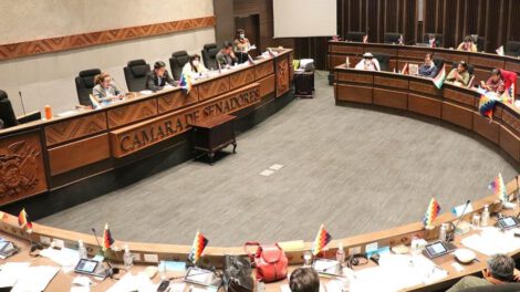Ley de Registro de Comercio sancionada por el Senado