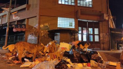 Línea de WhatsApp para denuncias sobre mala disposición de basura