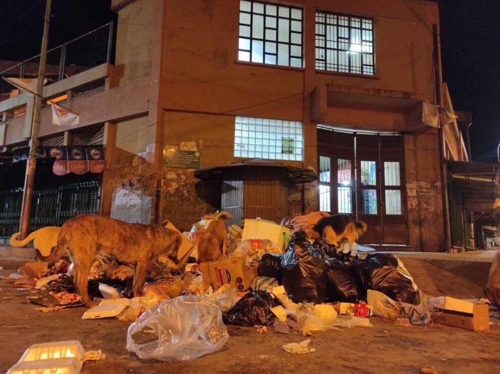 Línea de WhatsApp para denuncias sobre mala disposición de basura
