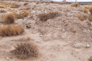 Desastre por sequía en Oruro