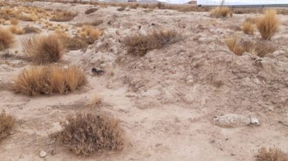 Desastre por sequía en Oruro