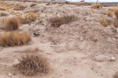 Desastre por sequía en Oruro
