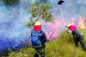 Incendio en el Parque Nacional Madidi