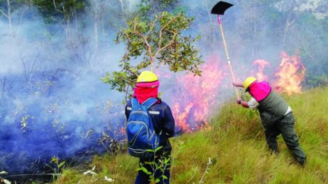 Incendio en el Parque Nacional Madidi