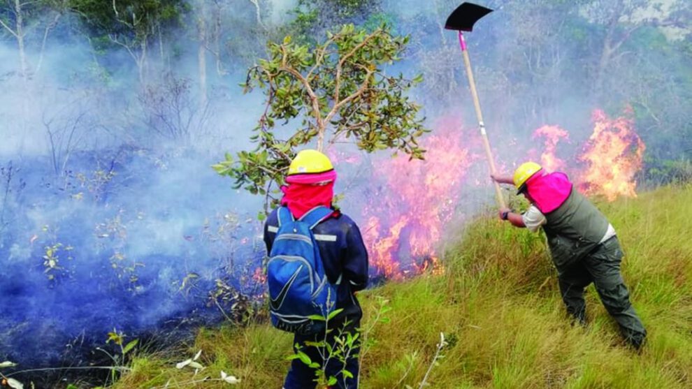 Incendio en el Parque Nacional Madidi