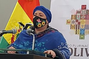 Desestabilización del Gobierno según María Nela Prada