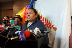 Proyecto de ley Wiphala Patujú presentado por diputadas del MAS