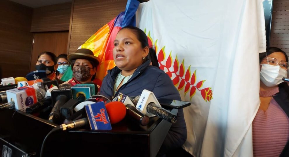 Proyecto de ley Wiphala Patujú presentado por diputadas del MAS