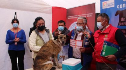Vacunación Antirrábica Canina en Oruro