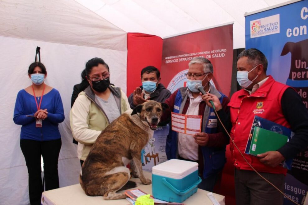 Vacunación Antirrábica Canina en Oruro
