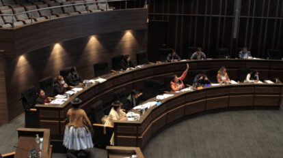 Ley de Estadísticas Oficiales del Estado Plurinacional de Bolivia