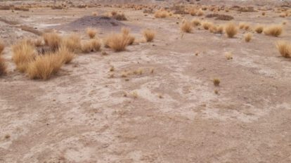 Sequía en Oruro afecta a 23 municipios