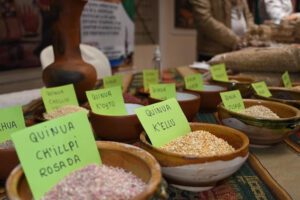 Viceministerio de quinua propuesto para apoyar a los productores
