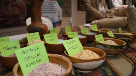 Viceministerio de quinua propuesto para apoyar a los productores
