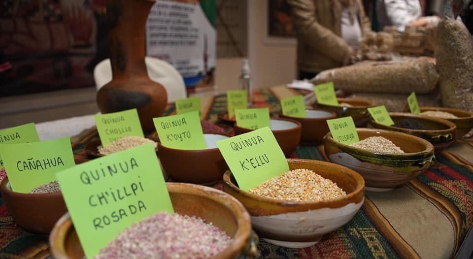 Viceministerio de quinua propuesto para apoyar a los productores